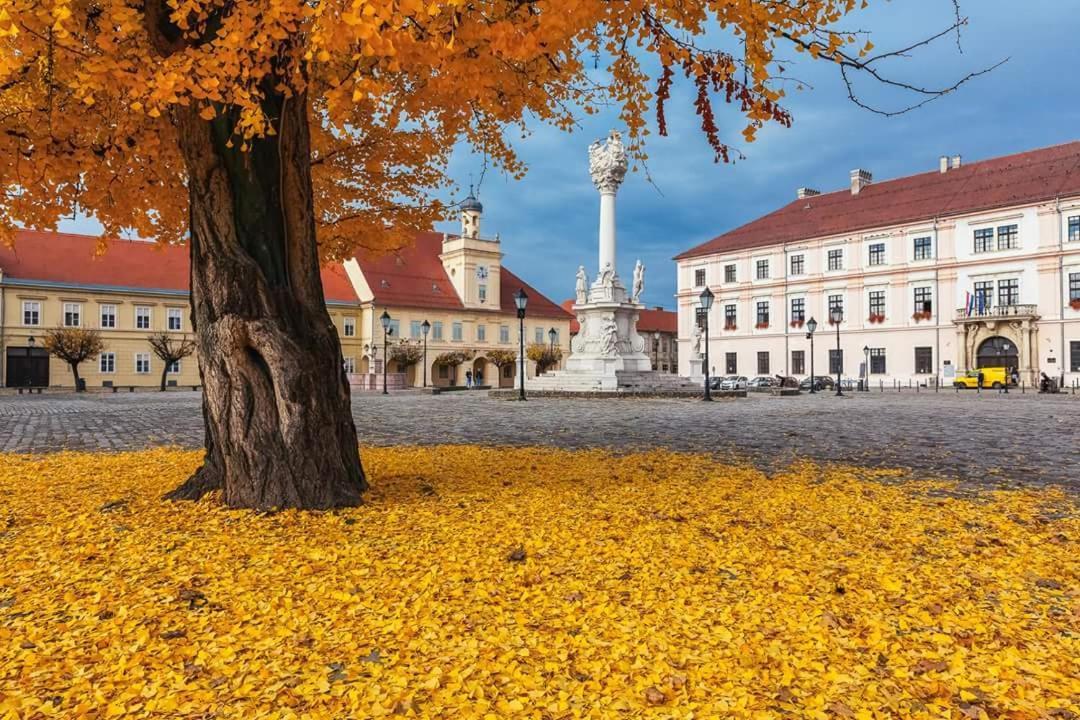 Apartman Aurelius - Private Parking Osijek Zewnętrze zdjęcie
