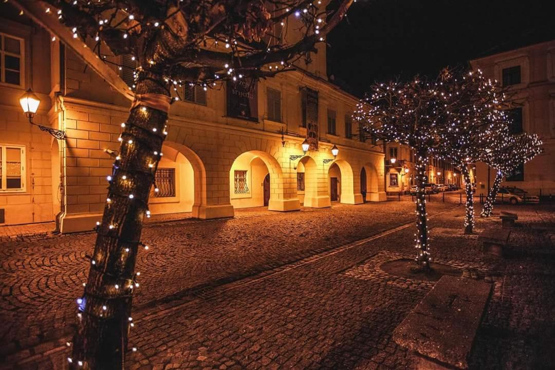 Apartman Aurelius - Private Parking Osijek Zewnętrze zdjęcie
